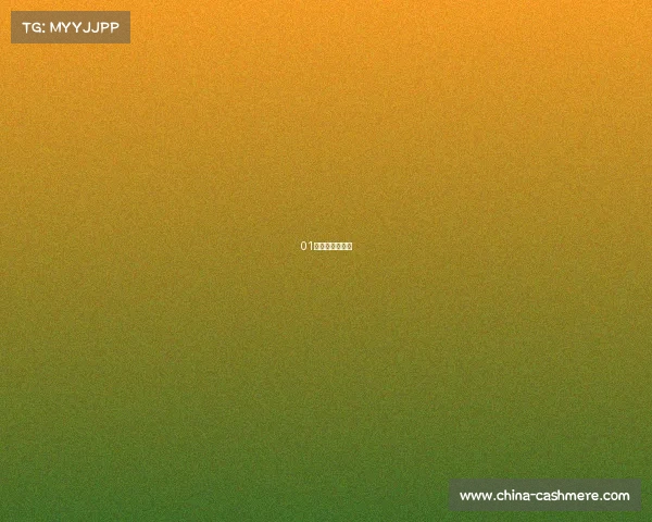 01年电竞职业选手